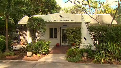 South Florida Wildlife Center undergoing renovations by nonprofit Rescue Rebuild
